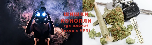 твердый Дмитриев