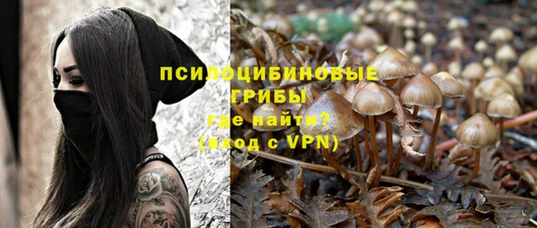 mdpv Заволжье