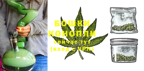 PSILOCYBIN Дмитровск