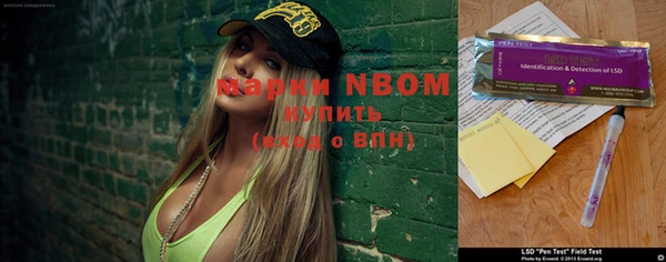 твердый Дмитриев