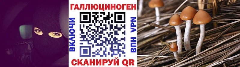Галлюциногенные грибы Psilocybine cubensis  как найти   Рыбинск 